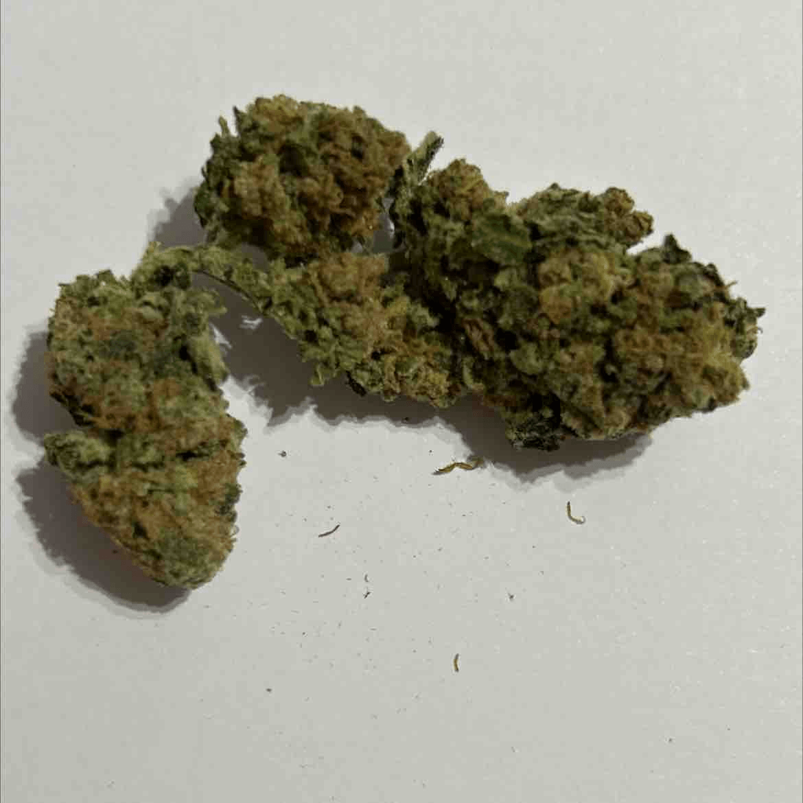 Pineapple Chunk - tz